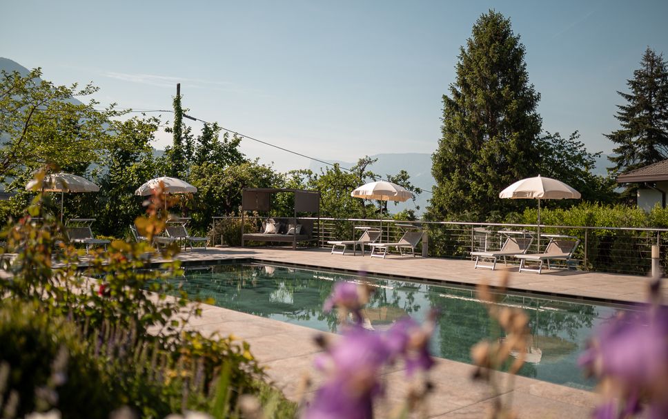 สระว่ายน้ำ รูปภาพ