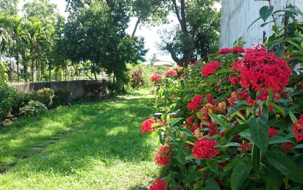 วิวภายนอก รูปภาพ
