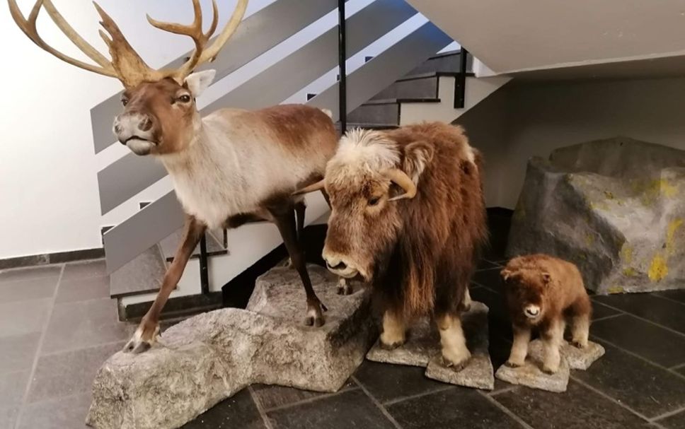 ล็อบบี้ รูปภาพ