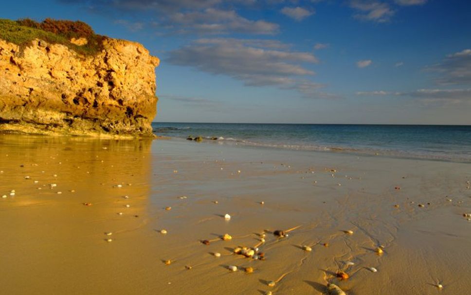 ชายหาด รูปภาพ