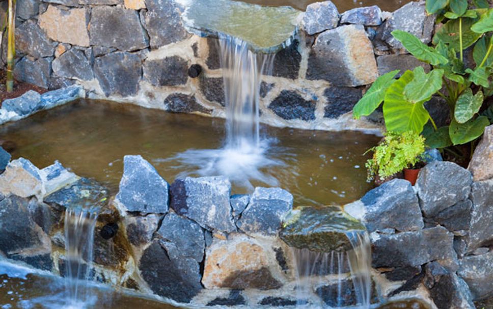 สิ่งอำนวยความสะดวกโรงแรม รูปภาพ