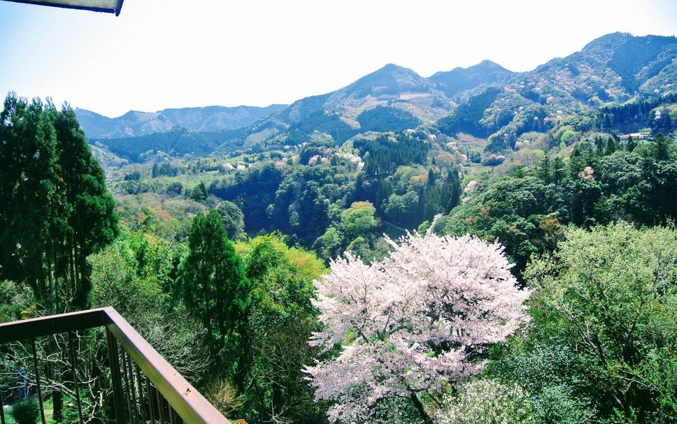 ระเบียง รูปภาพ